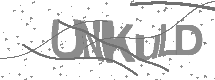 visual captcha